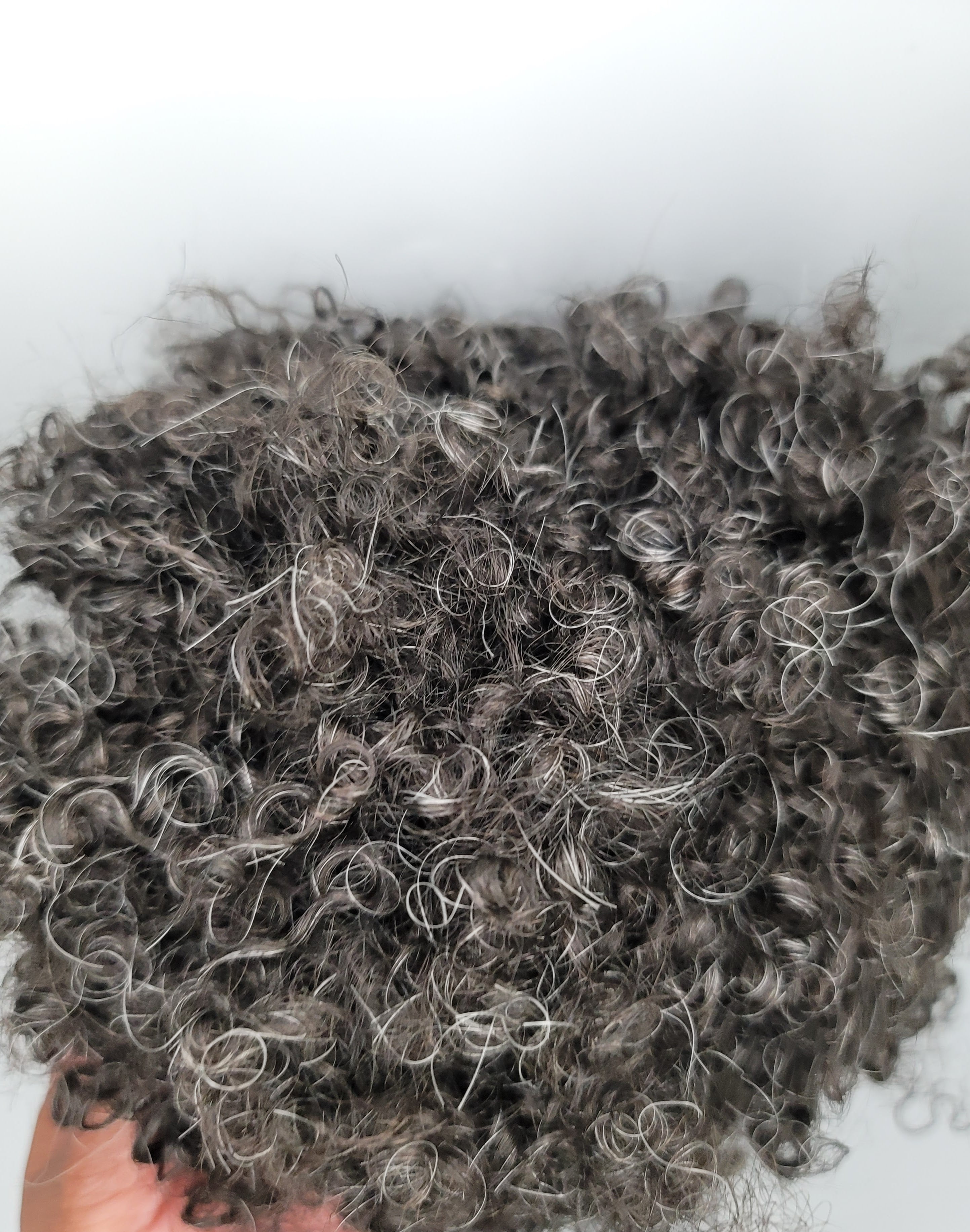 wave / #1b/natural black/20grey / lace