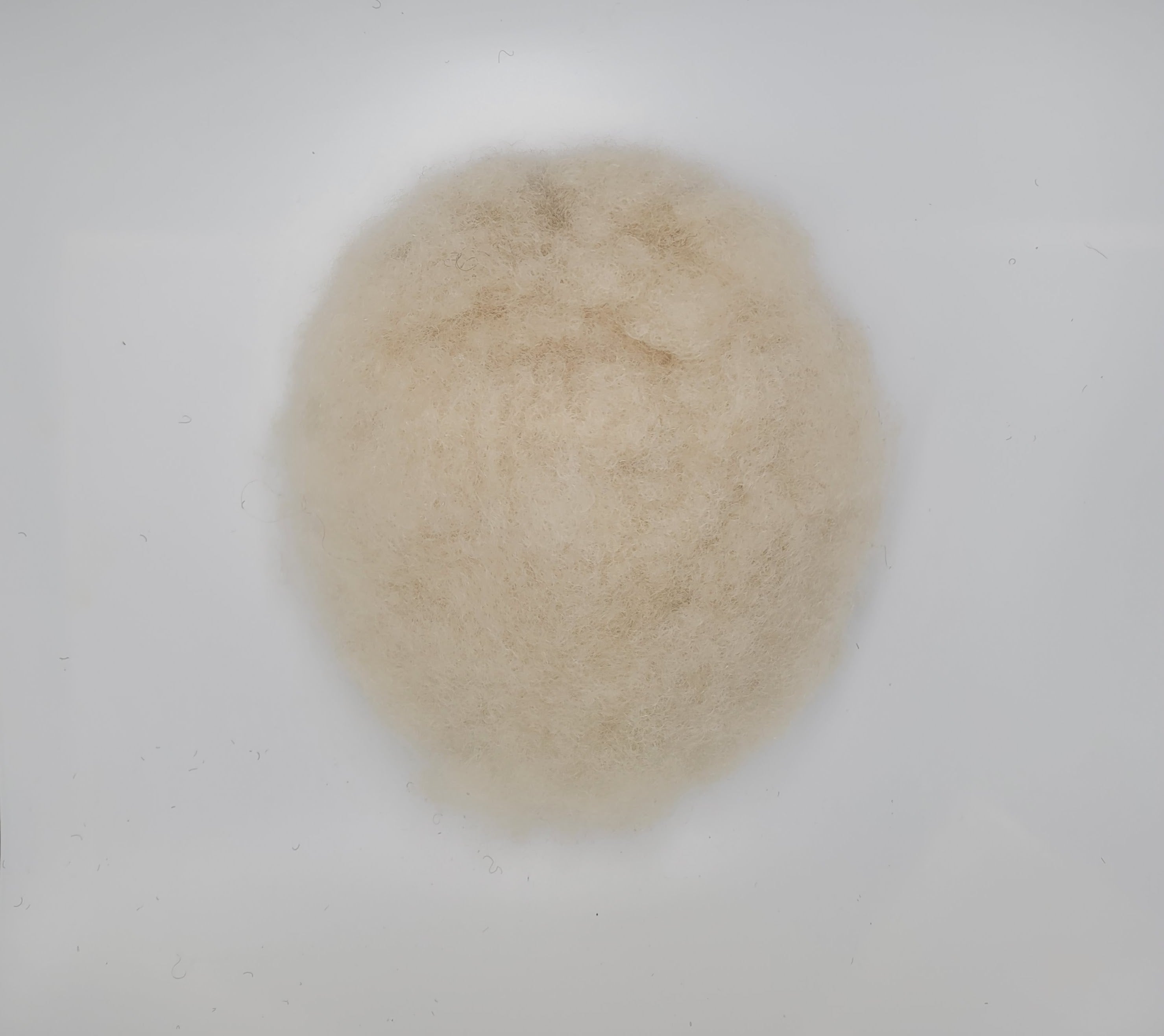 afro/curl / #60r / lace