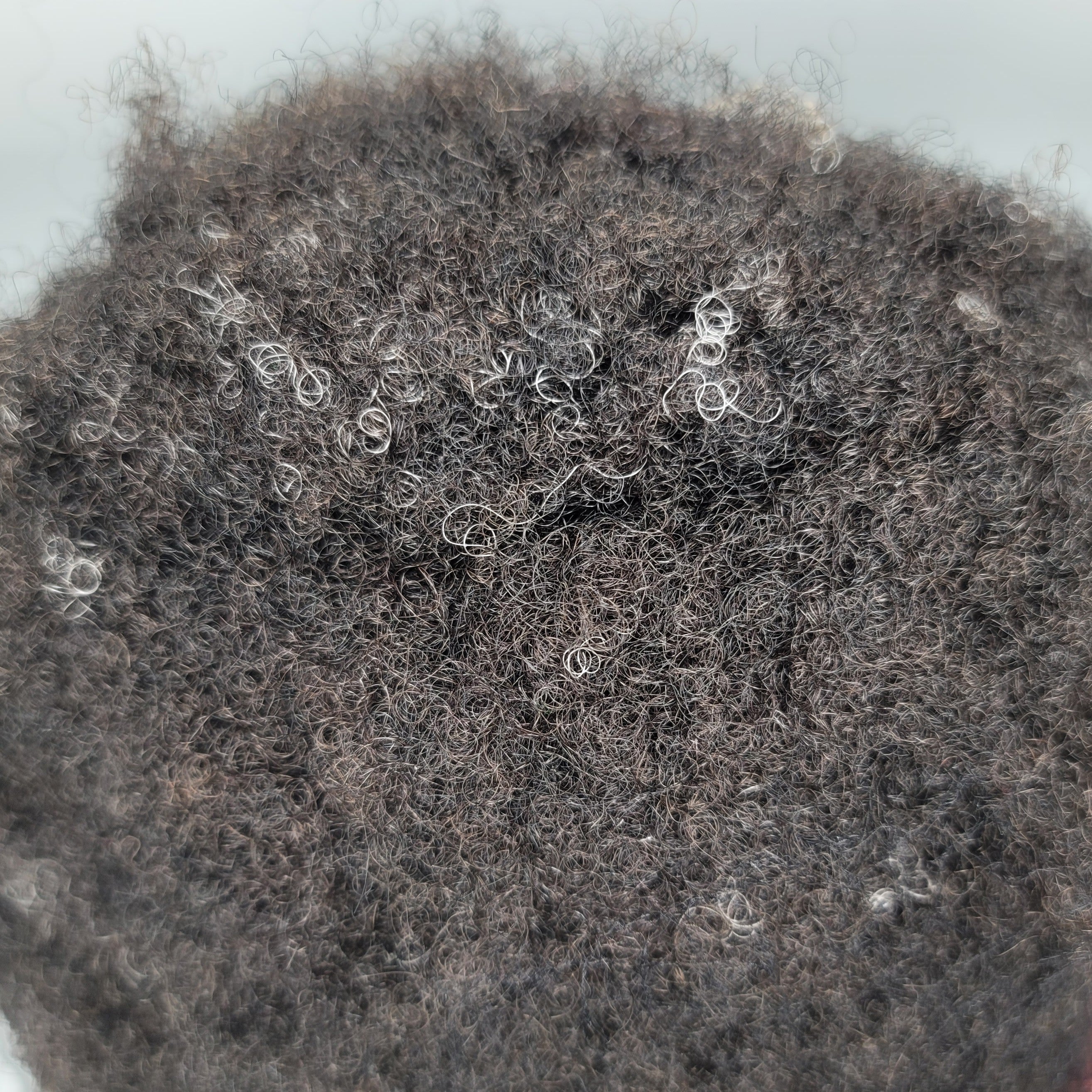 afro/curl / #1b/natural black/10grey / lace