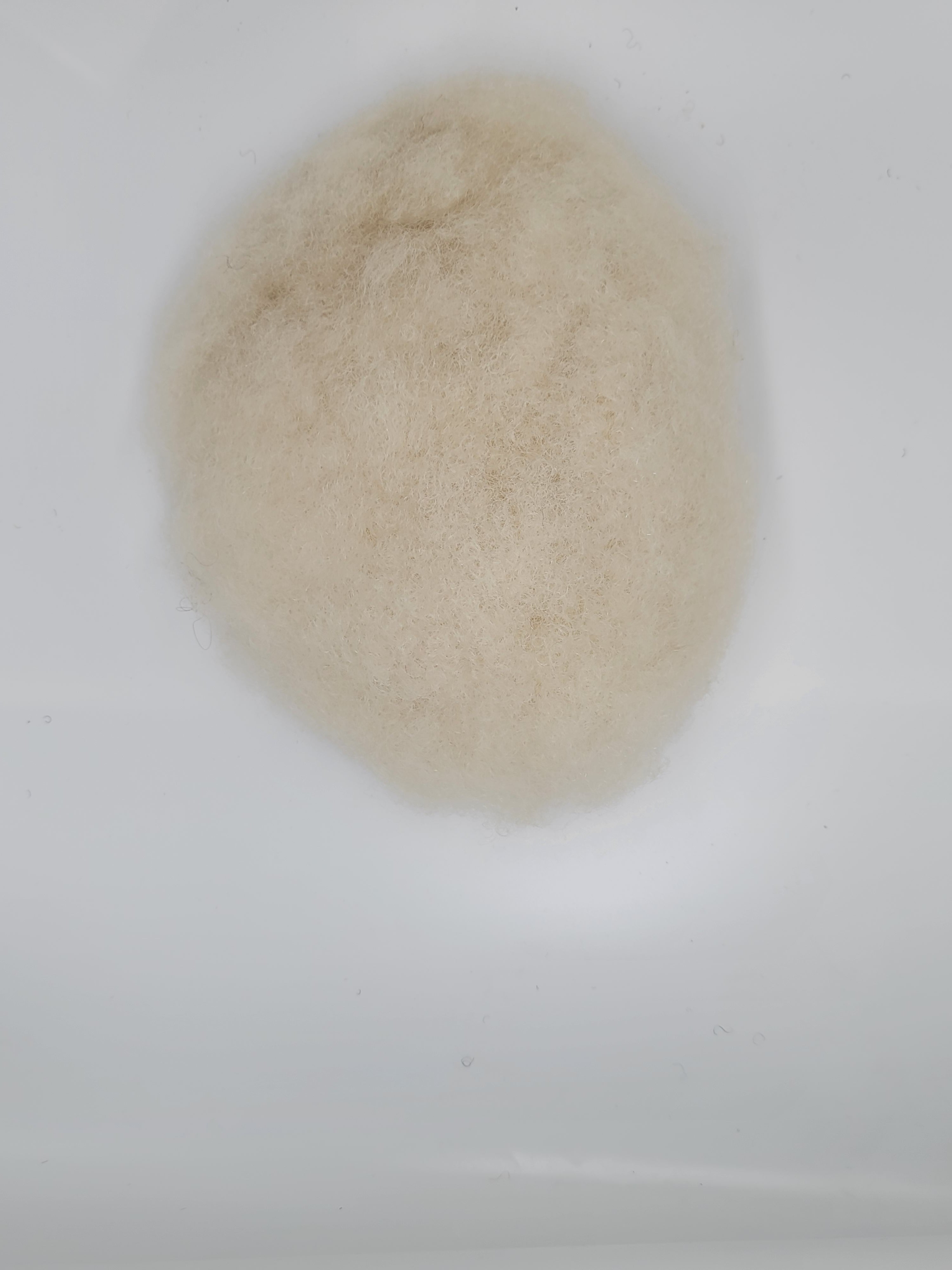 afro/curl / #60r / lace